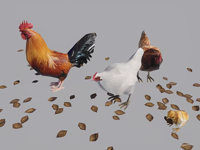 Group of Colorful Rooster Hens and Chicks Walking on Scattered Leaves 3d model