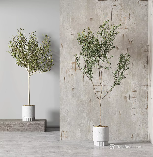 Olive Bonsai Plant in White Pot on Wooden Stand Against Gray Wall with Geometric Patterns 3d model 