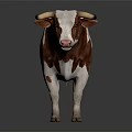 Brown and white cow with horns standing on dark background with reflective surface