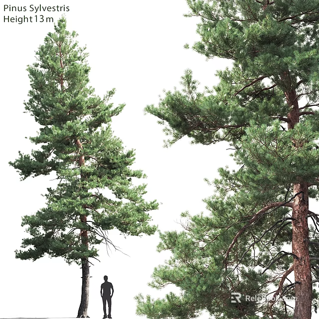 Natural Style Ornament Decoration Set With Pine Tree Design Green Leaves And Wooden Base 3d model 