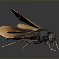 3D Rendered Wasp With Black And Yellow Stripes And Orange Wings On Gray Background