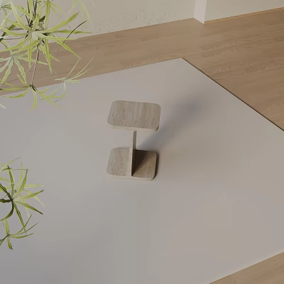 Modern Wooden Side Table With Two Tier Design And Green Plant On Light Colored Rug 3d model