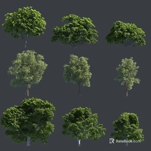 Various Arbor Trees Displaying Lush Green Foliage And Diverse Canopy Shapes 3d model