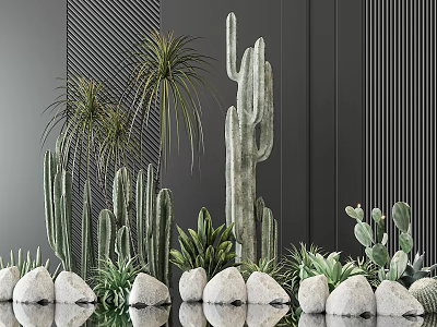 Succulents and Cacti Decorative Display with White Stones Against Dark Vertical Striped Wall 3d model