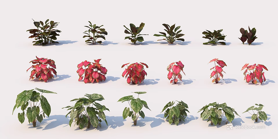 Various Types of Potted Plants with Green and Red Leaves Arranged Neatly 3d model 