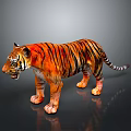 Majestic Tiger with Orange Fur and Black Stripes Standing on Reflective Gray Background