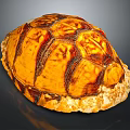 Shiny Orange Brown Tortoise Shell With Detailed Patterned Texture On Dark Background