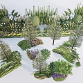 Lush Arbor Trees Garden Design With Various Plants And Flower Beds