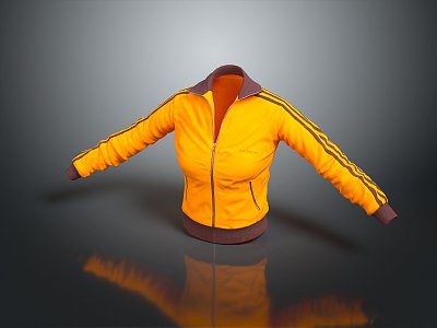 Jacket Baseball Clothing Sportswear Coat Leather Jacket Men's Jacket Women's Jacket Men's Jacket Women's Jacket 3d model