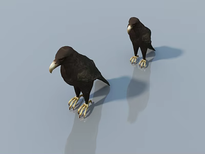 Black Reptiles With Yellow Claws Standing On Light Colored Surface With Shadows 3d model