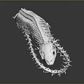 Detailed White Snake Skeleton 3D Model with Reflection on Dark Background