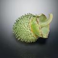 Green Spiky Tropical Plant Fruit with Fresh Green Leaves on Dark Background