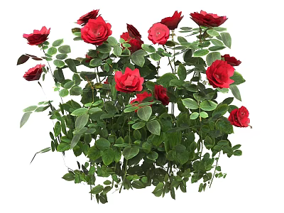 Beautiful Red Roses In Vase With Green Leaves Decorative Flower Arrangement 3d model