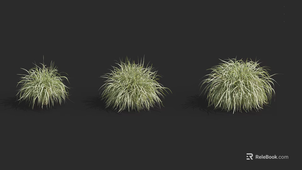 Ornamental Green Shrubs With Various Growth Forms For Garden Landscaping Design 3d model 