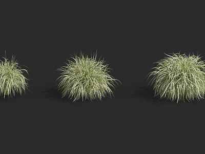 Ornamental Green Shrubs With Various Growth Forms For Garden Landscaping Design 3d model