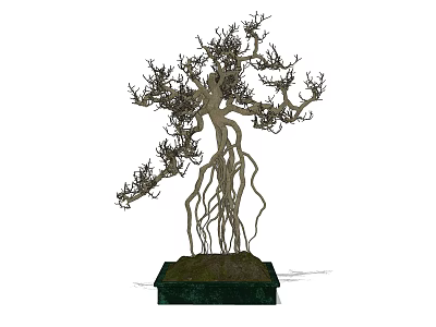 Artistic Bonsai Tree With Intricate Curved Roots And Thin Branches On Dark Base 3d model