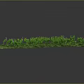 Rectangular Green Vegetation Plantation With Orderly Rows Of Lush Foliage