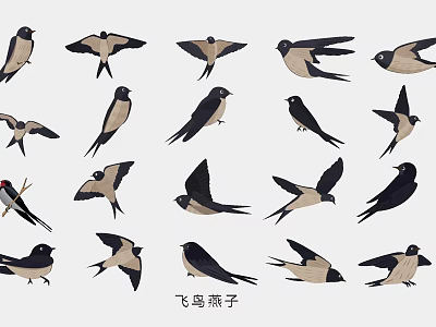 Flying Swallow Bird Themed Pendant Ornaments with Various Postures and Designs 3d model