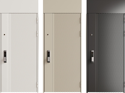 Modern entry door model