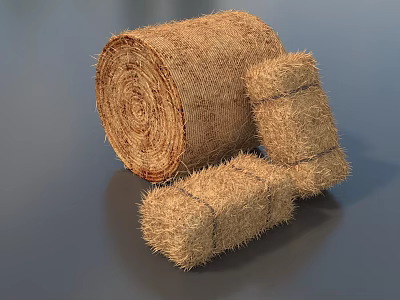 Organic Hay Bales In Cylindrical And Square Shapes For Agricultural Use 3d model