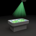 Commercial Showcase Equipment With Green Lighting And Green Items On Gray Platform And Lower Cabinets