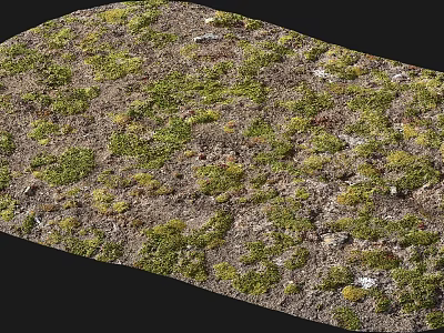 Natural Stone And Wood Surface With Green Moss And Earthy Texture 3d model