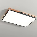 Modern ceiling lamp Simple ceiling lamp 3d model