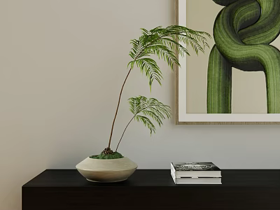 Bonsai Plant In White Pot On Black Cabinet With Books And Green Abstract Painting 3d model