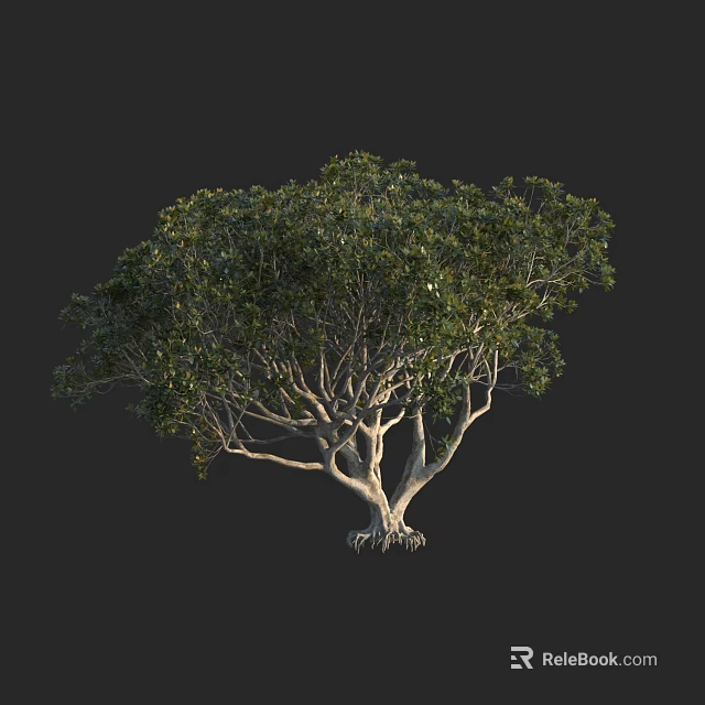 Lush Arbor With Thick Trunk Dense Green Leaves And Root System On Dark Background 3d model