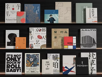 Various Designed Books And Magazines With Creative Covers On Shelf 3d model