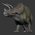 Detailed Realistic Triceratops Dinosaur Model With Three Horns And Frill