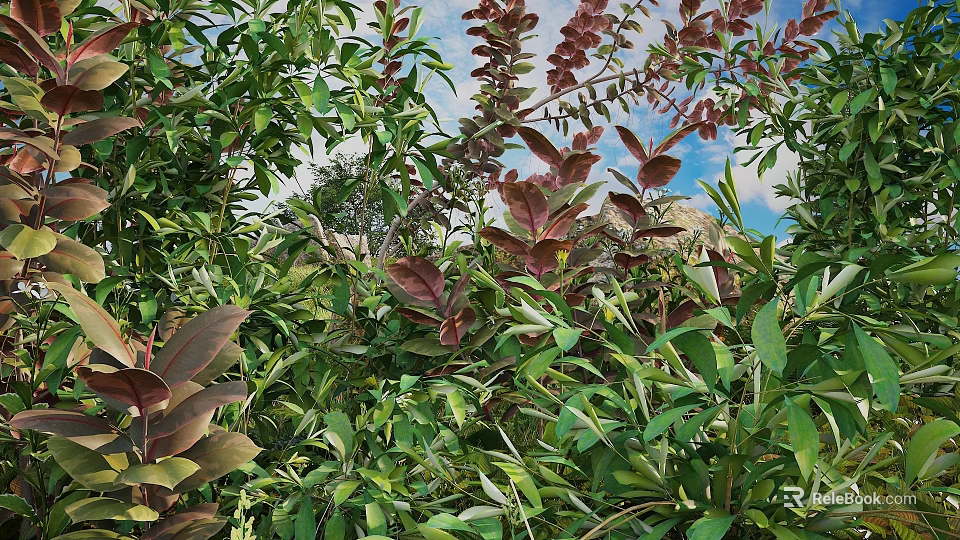 Lush Green And Red Leaf Bushes Growing With Blue Sky And Rocks 3d model 