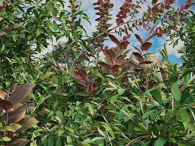 Lush Green And Red Leaf Bushes Growing With Blue Sky And Rocks 3d model