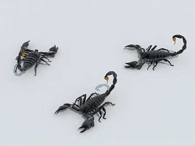 Three Black Scorpion Reptiles With Yellow Tail Tips On White Surface 3d model