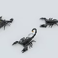 Three Black Scorpion Reptiles With Yellow Tail Tips On White Surface 3d model