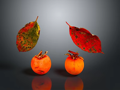 Orange Persimmons With Red Green Leaves Against Gray Background With Reflection 3d model