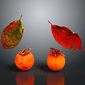 Orange Persimmons With Red Green Leaves Against Gray Background With Reflection