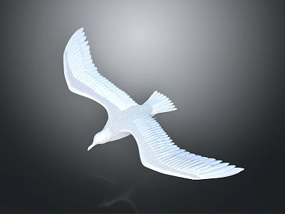 Graceful White Seagull Soaring with Outstretched Wings in Mid Air Against Black Background 3d model