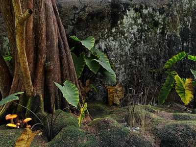 Lush Wild Tropical Forest Scenery With Mossy Ground Thick Trunks Wild Mushrooms And Broad Leaves 3d model