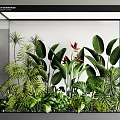 Indoor Landscape With Glass Container Holding Various Lush Green Tropical Plants And Red Flowers