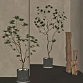 Indoor Bonsai Potted Plants With Green Leaves In Concrete Pots And Wooden Decor