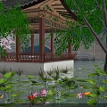Tranquil Pond Scenery With Lush Lotus Leaves Pink Flowers Colorful Koi Fish And Willow Trees