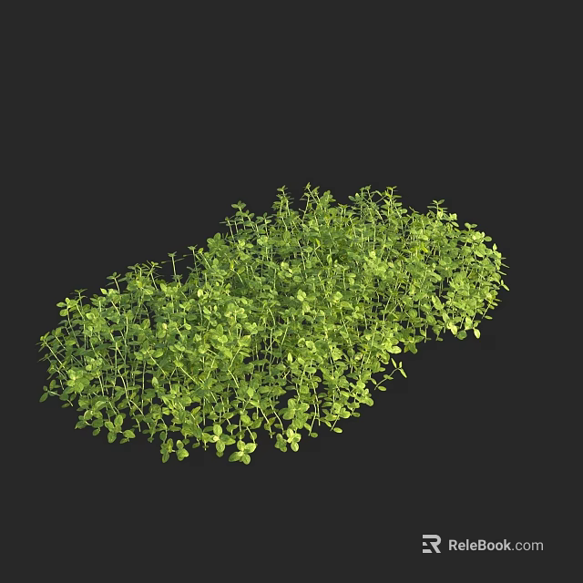 Lush Green Aquatic Plants Thriving In Freshwater Habitat With Dense Foliage 3d model 