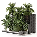 Lush Green Tree Pit With Palm Trees Foliage And Black Slatted Structure 3d model