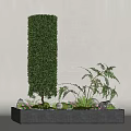 Elegant Indoor Landscape With Columnar Shrub Fern Plants Gray Planter And Moss