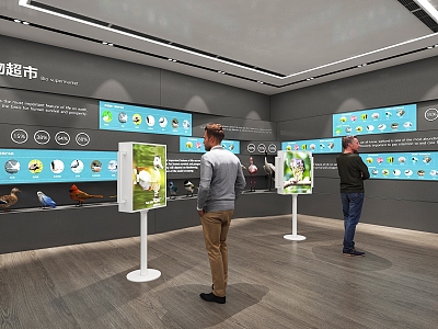 Exhibition Hall Exhibition Display Science Museum Bird Specimens Multimedia Interactive Exhibition Education Science Popularization model