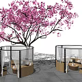 Outdoor Public Seating Area With Circular Wooden Seats Under Cherry Blossom Tree And Transparent Curtains