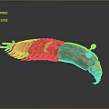 Vibrant Red Crustacean Creature Features Curved Body Shiny Exoskeleton And Black Eyes Antennae