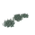 Green Foliage Decorative Ornament Collection For Natural Home Decor