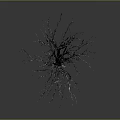 Bare Leafless Tree With Visible Trunk And Branches On Gray Background